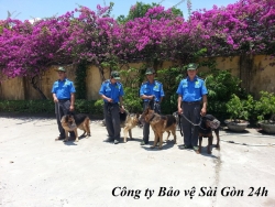 top 10 cong ty bao ve o nha be