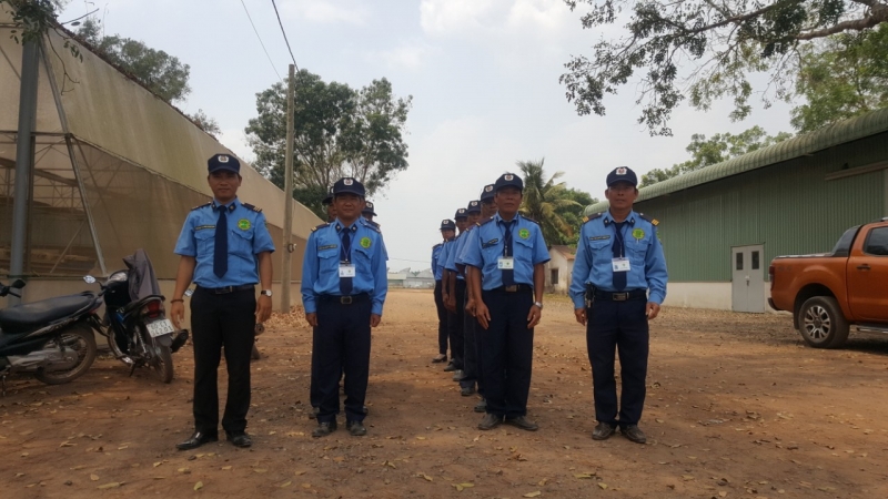 dich vu bao ve toa nha van phong o quan 7